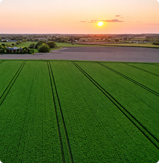Green countryside landscape highlighting the value of farmland