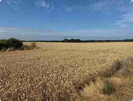 Rural landscape highlighting the importance of protecting farmland