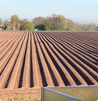 Farmland landscape showing the importance of protecting land