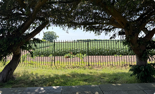 Open farmland highlighting the need to preserve rural land