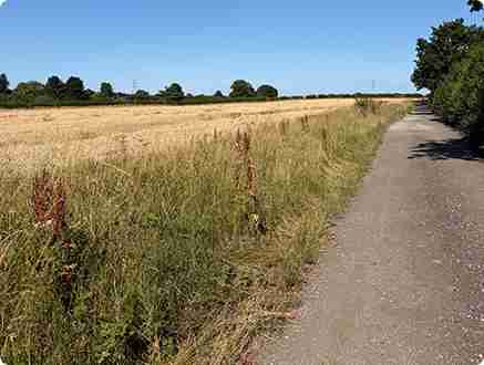 Popular countryside path for walkers, cyclists and horse riders